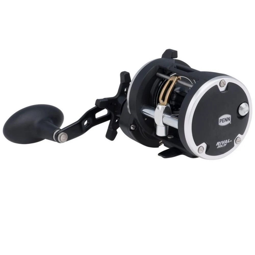PENN Fishing Level Wind Conventional Righthanded ReeL RIVAL 20LW 2 PENN Fishing Level Wind Conventional Righthanded ReeL RIVAL 20LW - Afbeelding 2