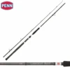 PENN Legion Cat Silver Allround Rod 3.00m 100/300g