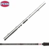 PENN Legion Cat Silver Power AR Rod 3.00m 200/400g