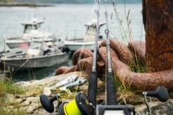 Penn Sale PENN - Carnage Halibuster -Penn penn carnage halibuster 2