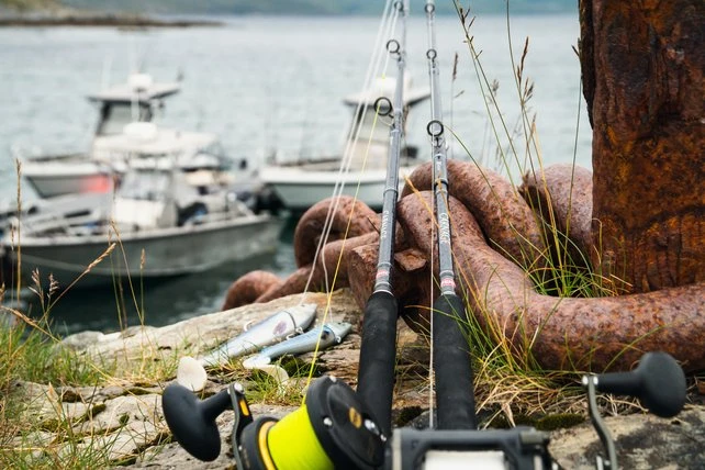 Penn Sale PENN - Carnage Popping 2 Penn Sale PENN - Carnage Popping - Afbeelding 2